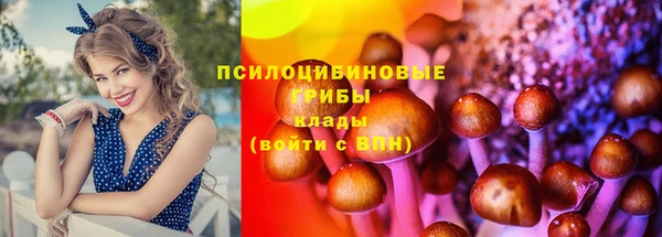 соль ск Балахна